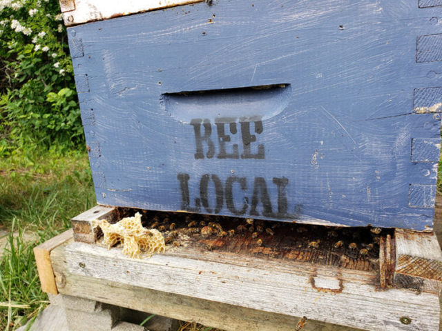 Bee Local