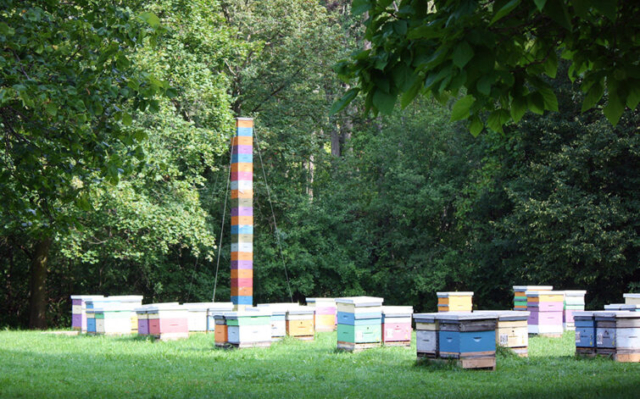 Honey Bee Research Centre