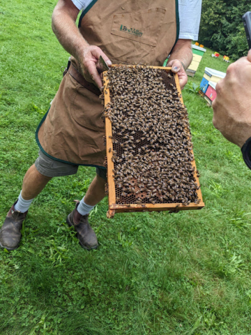 Honey Bee Research Centre