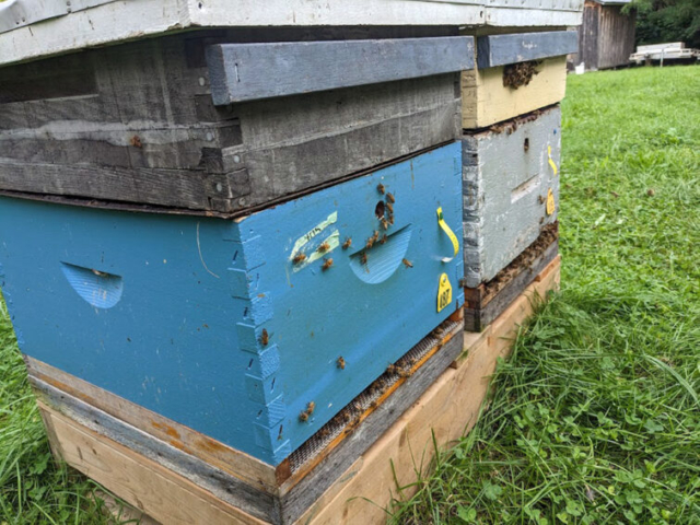 Honey Bee Research Centre