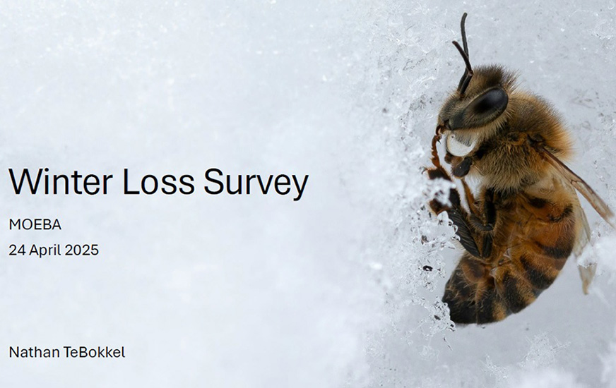 Winter Loss Survey 2025
