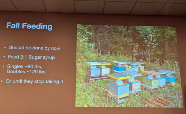 Brian MacEachern - Bee Winter Prep