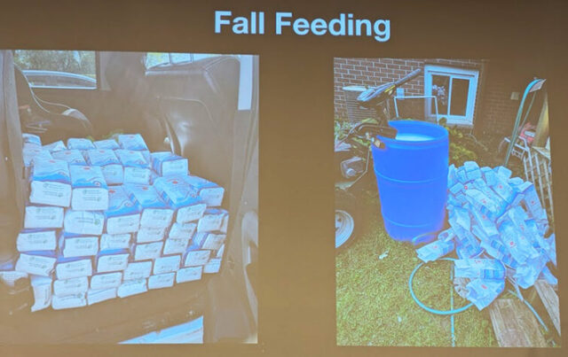 Brian MacEachern - Bee Winter Prep