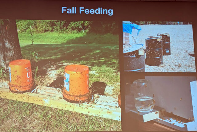 Brian MacEachern - Bee Winter Prep