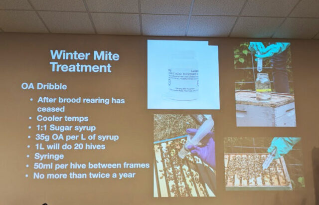 Brian MacEachern - Bee Winter Prep