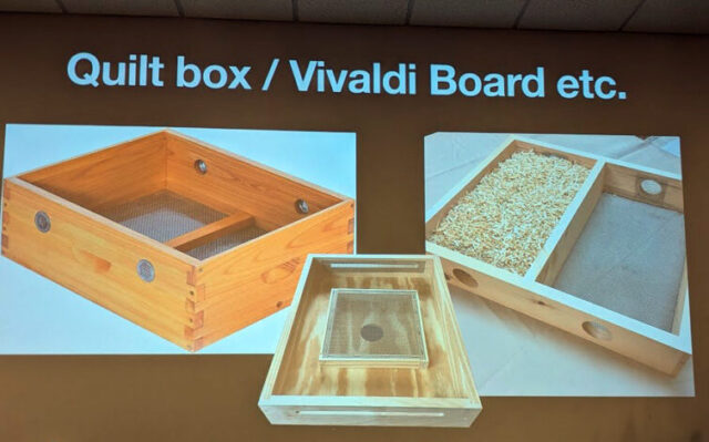 Brian MacEachern - Bee Winter Prep