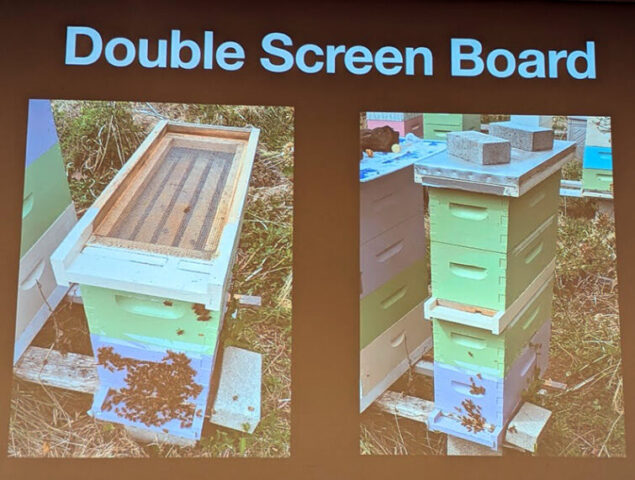 Brian MacEachern - Bee Winter Prep