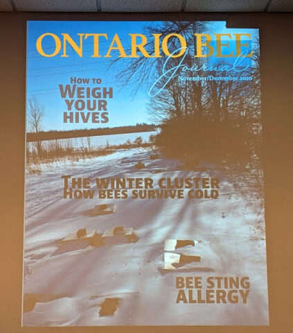 Brian MacEachern - Bee Winter Prep