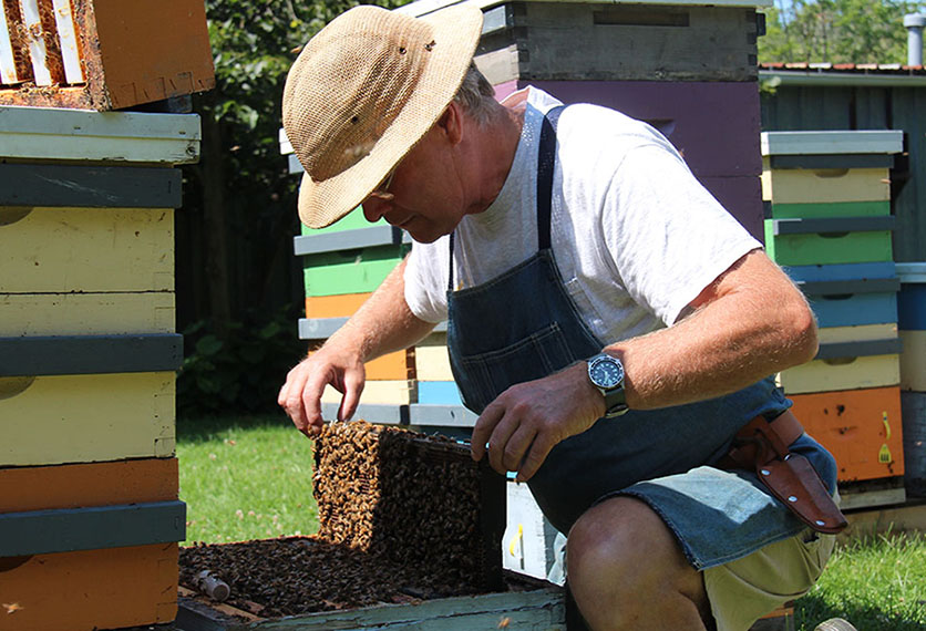 Paul Kelly - Honey Bee Research Centre at the University of Guelph