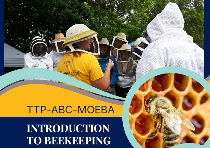 Beekeeping Course