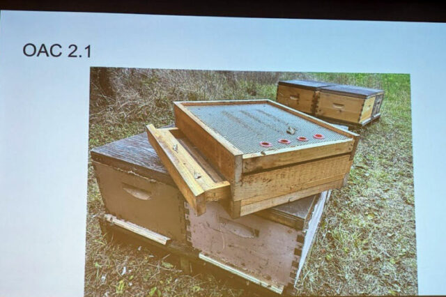 Albert Devries - Clovermead Apiaries