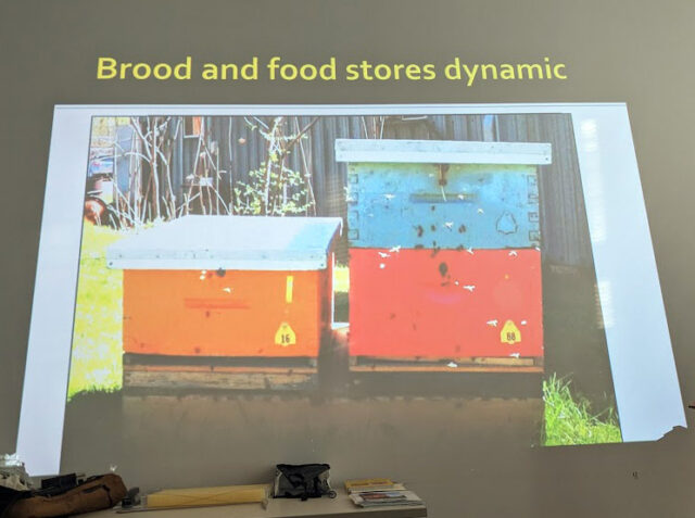 Paul Kelly – Honey Bee Research Centre University of Guelph