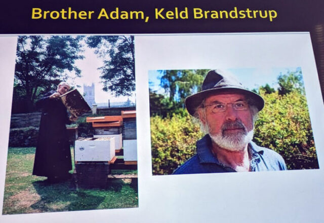 Brother Adam - Buckfast Bees