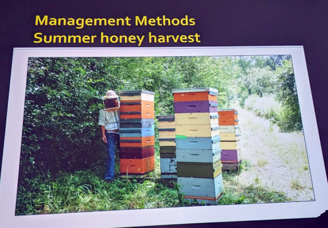 Paul Kelly – Honey Bee Research Centre University of Guelph