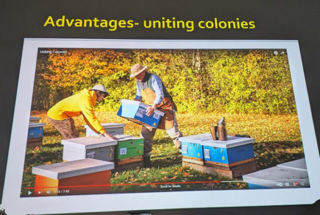 Paul Kelly – Honey Bee Research Centre University of Guelph