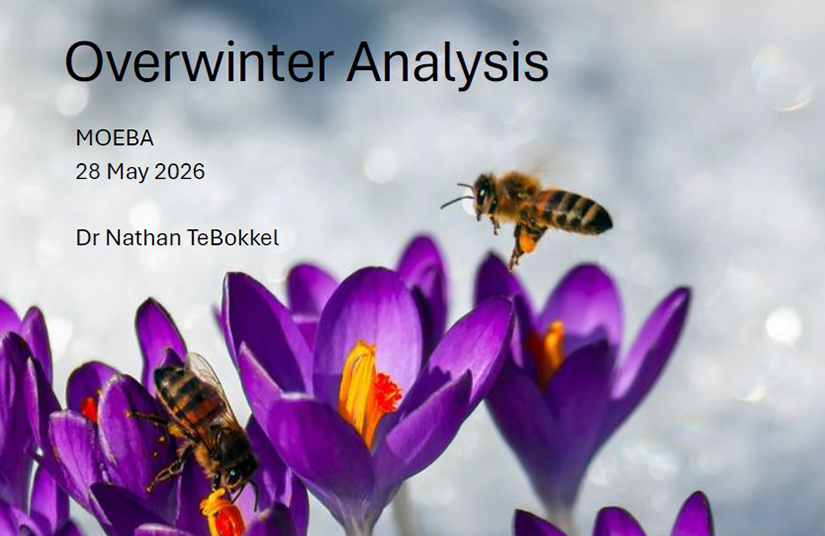 Overwintering Survey Presentation